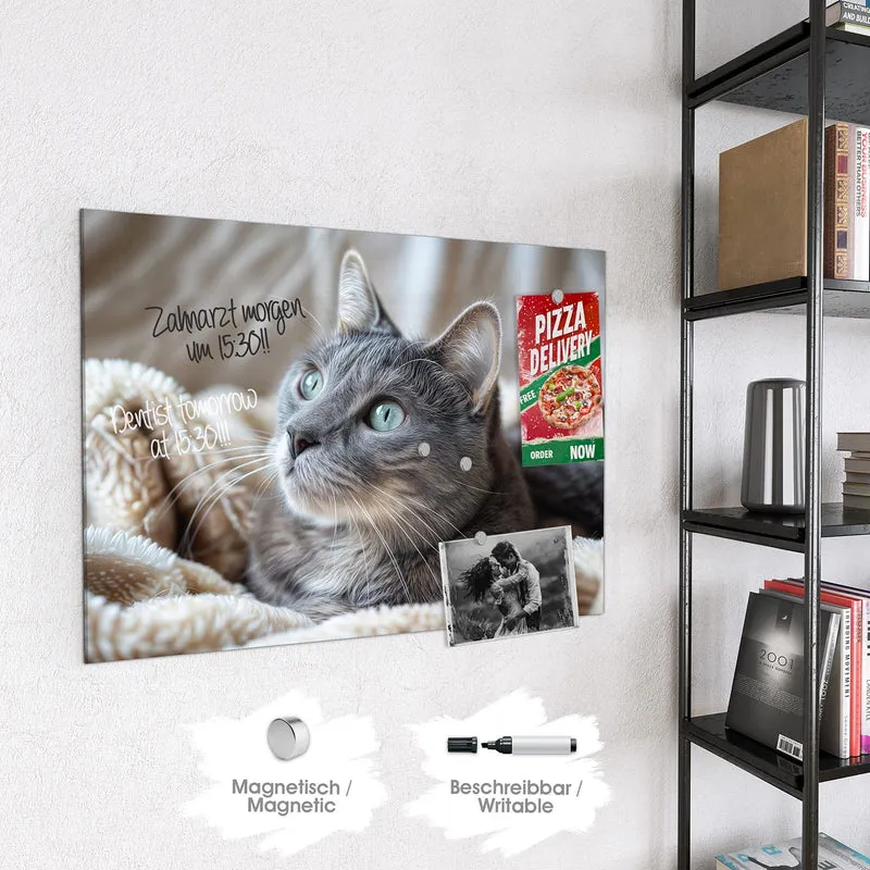Magnettafel - Graue Katze auf Decke