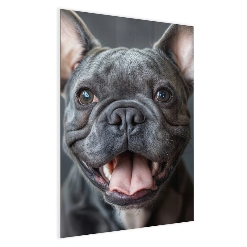 Magnettafel - Lachender Hund