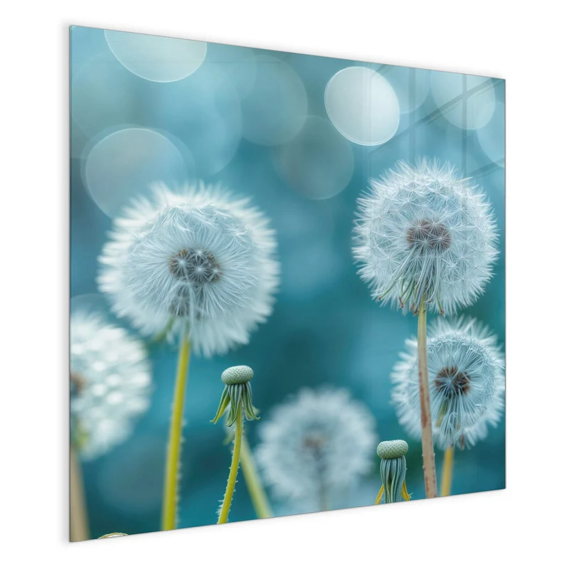 Magnettafel - Pusteblumen in Türkis