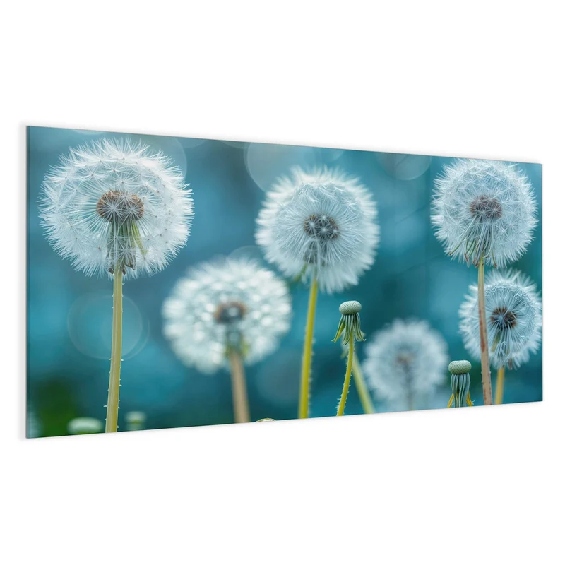 Magnettafel - Pusteblumen in Türkis