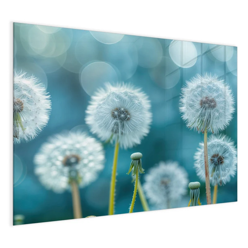 Magnettafel - Pusteblumen in Türkis