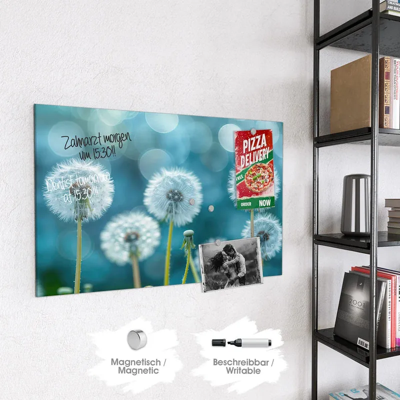 Magnettafel - Pusteblumen in Türkis