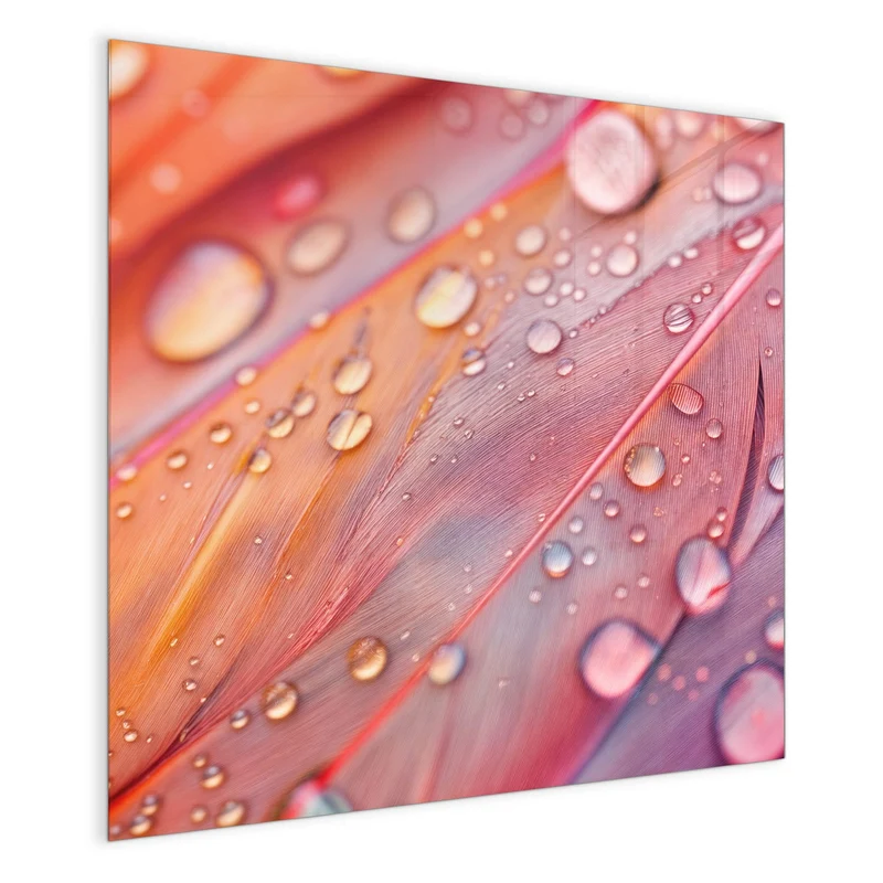 Magnettafel - Wassertropfen auf Federn