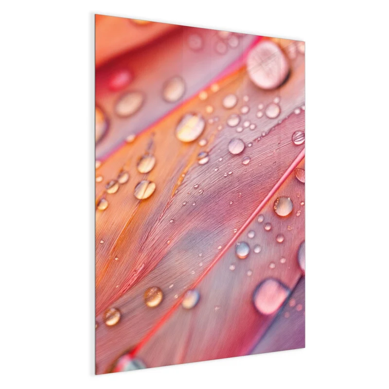 Magnettafel - Wassertropfen auf Federn