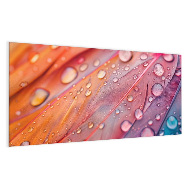 Magnettafel - Wassertropfen auf Federn