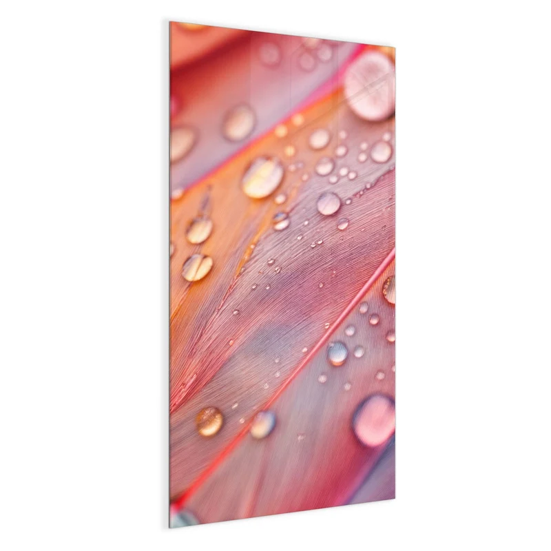 Magnettafel - Wassertropfen auf Federn