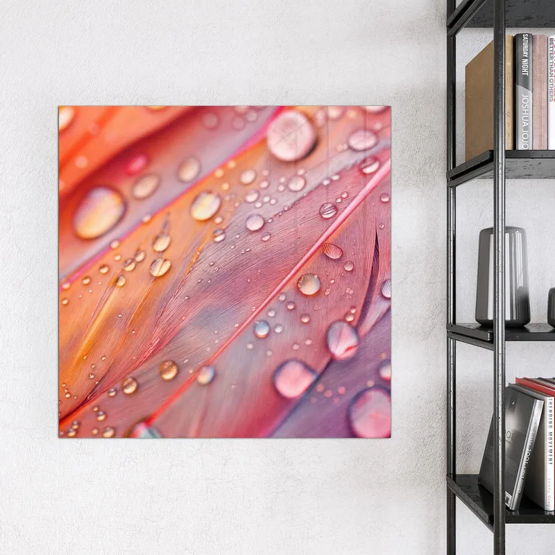Magnettafel - Wassertropfen auf Federn