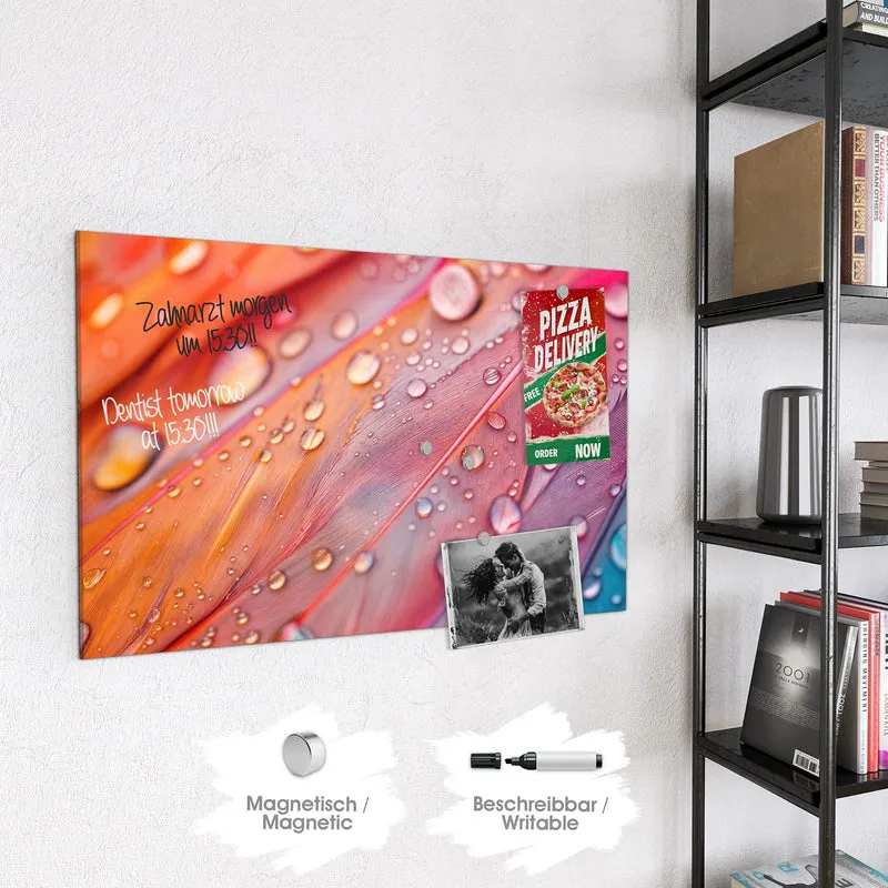 Magnettafel - Wassertropfen auf Federn