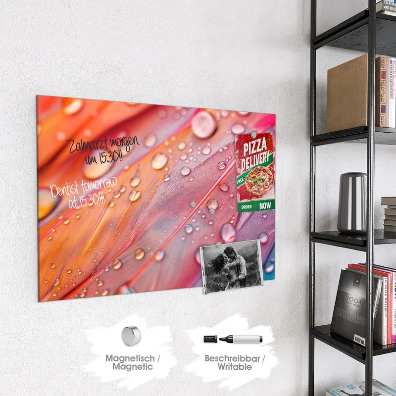 Magnettafel - Wassertropfen auf Federn