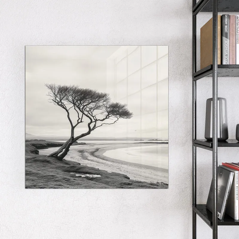 Magnettafel - Einsamer Baum am Meer