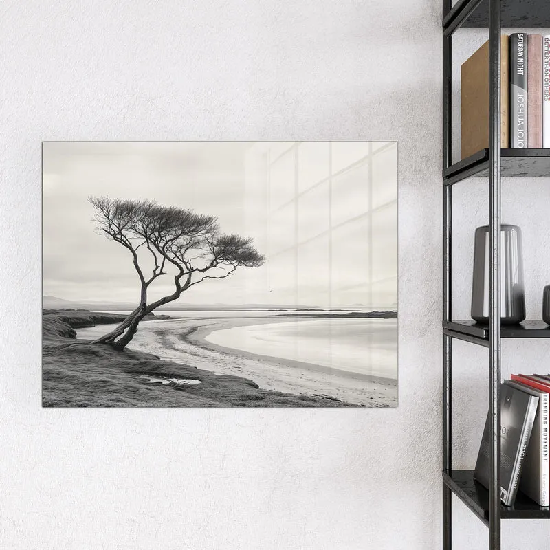 Magnettafel - Einsamer Baum am Meer