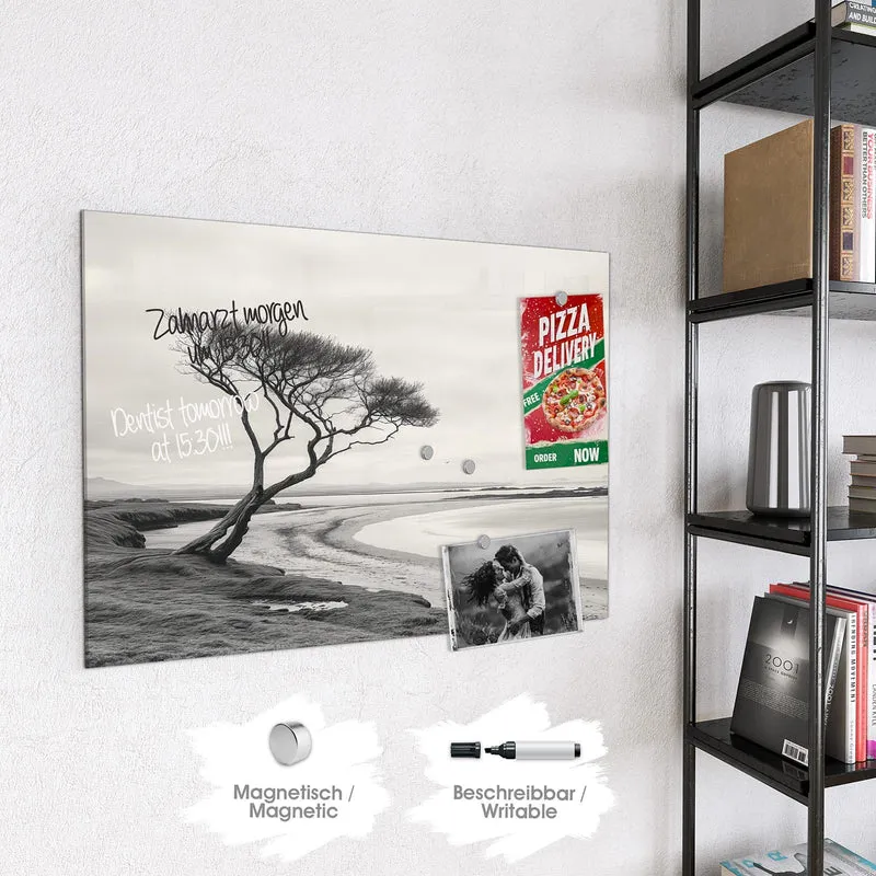 Magnettafel - Einsamer Baum am Meer