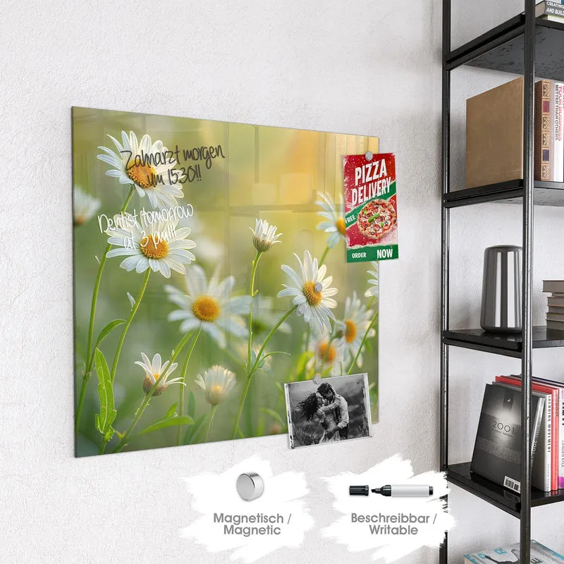 Magnettafel - Weiße Margeriten