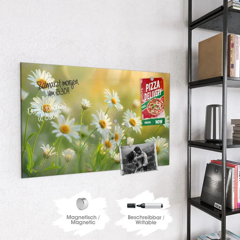 Magnettafel - Weiße Margeriten