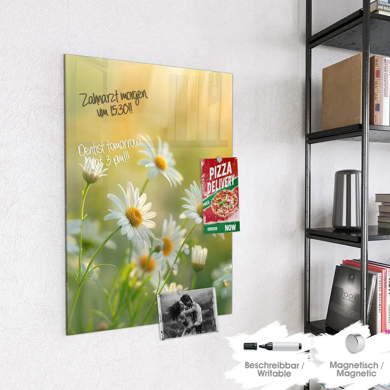 Magnettafel - Weiße Margeriten