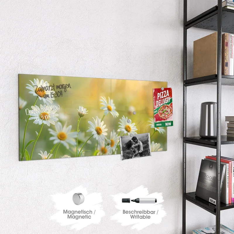 Magnettafel - Weiße Margeriten