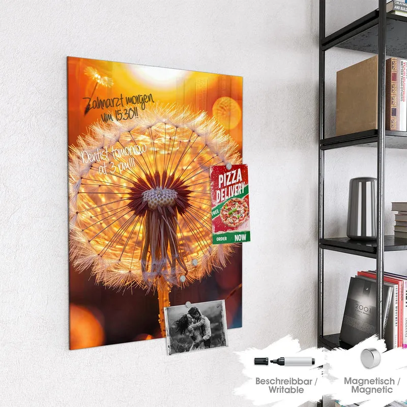Magnettafel - Pusteblume vor Sonne