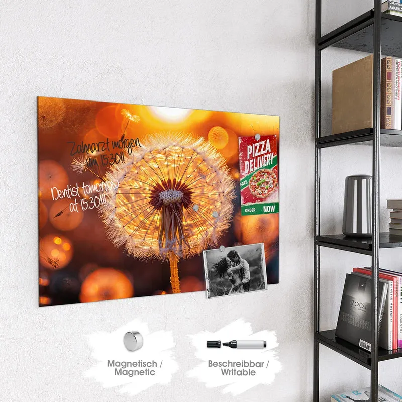 Magnettafel - Pusteblume vor Sonne
