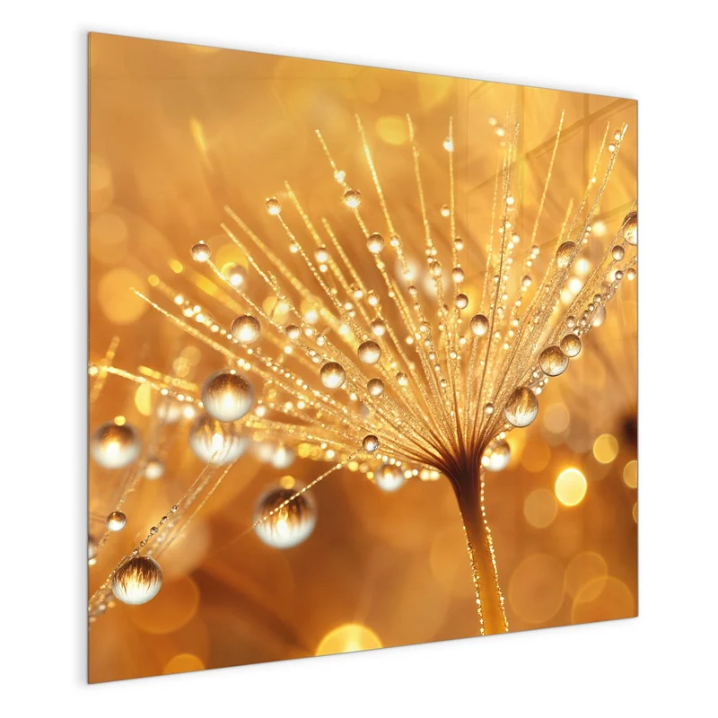 Magnettafel - Pusteblume voll Tau