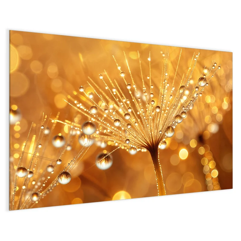 Magnettafel - Pusteblume voll Tau