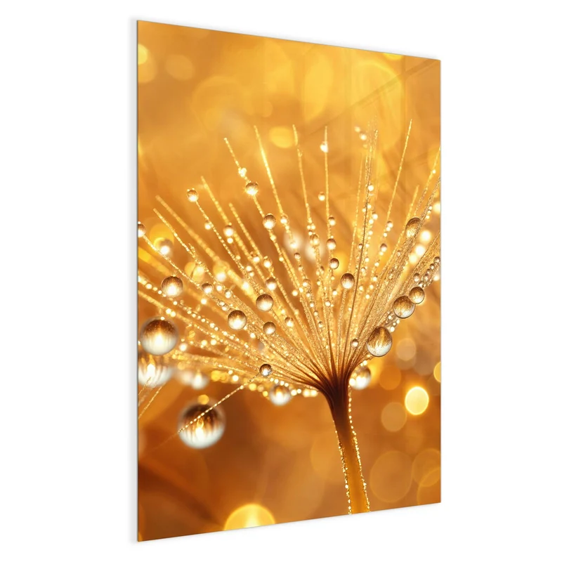 Magnettafel - Pusteblume voll Tau