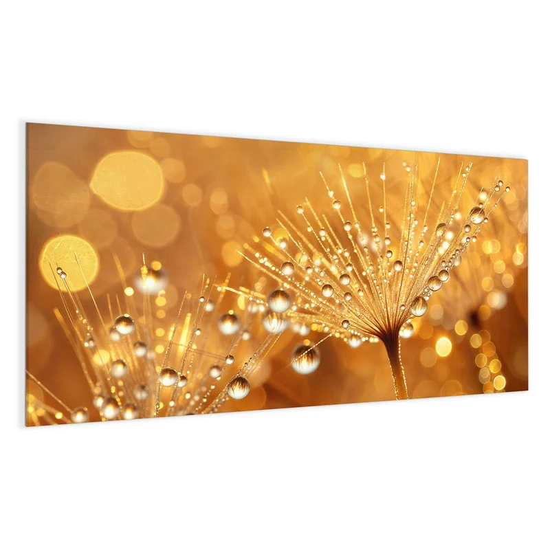 Magnettafel - Pusteblume voll Tau