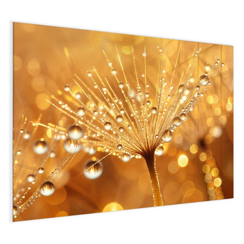 Magnettafel - Pusteblume voll Tau