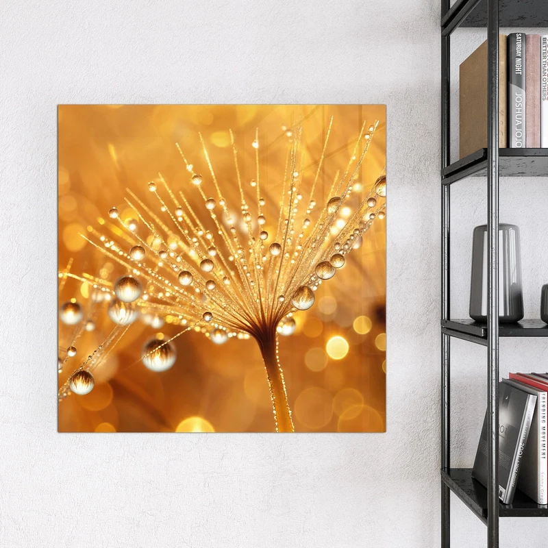 Magnettafel - Pusteblume voll Tau