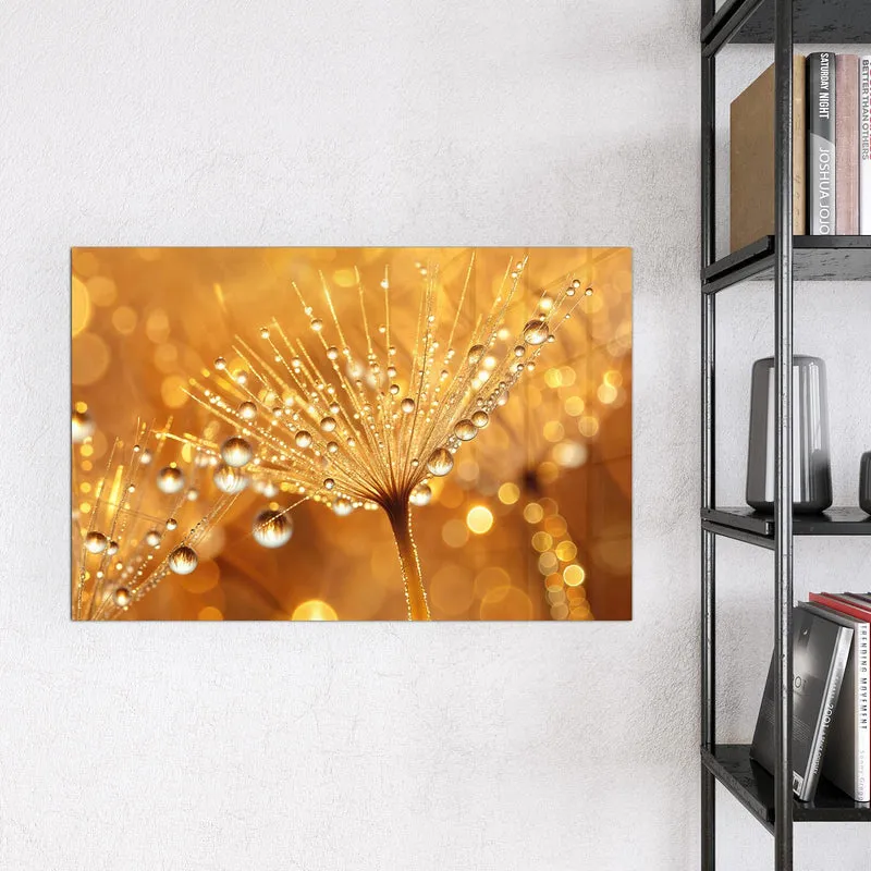 Magnettafel - Pusteblume voll Tau