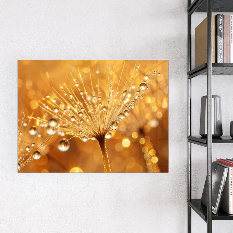 Magnettafel - Pusteblume voll Tau