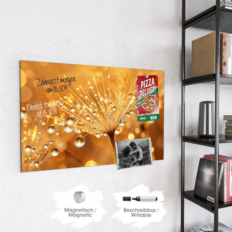 Magnettafel - Pusteblume voll Tau