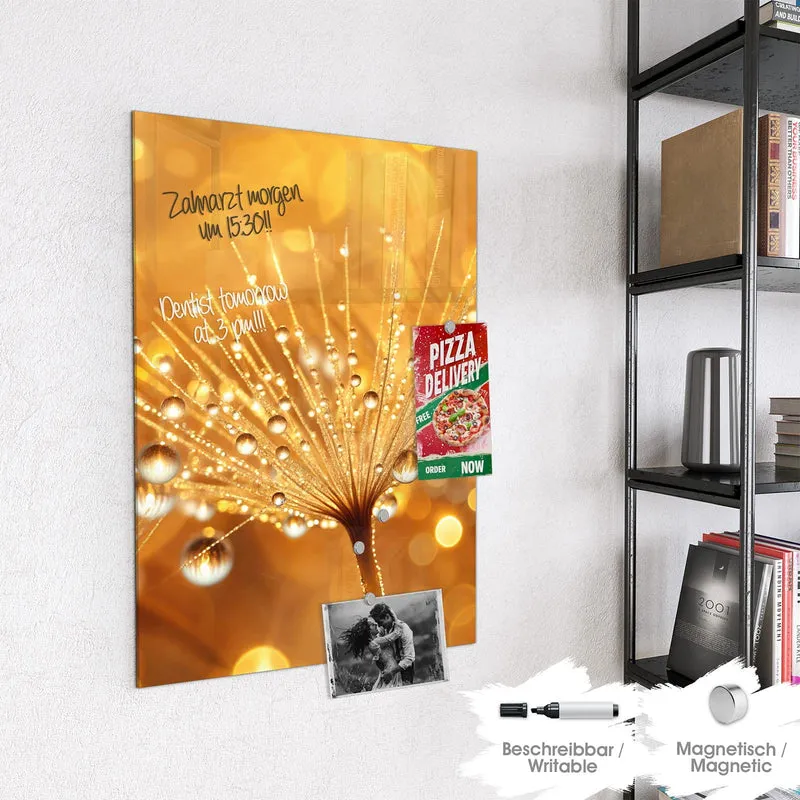 Magnettafel - Pusteblume voll Tau