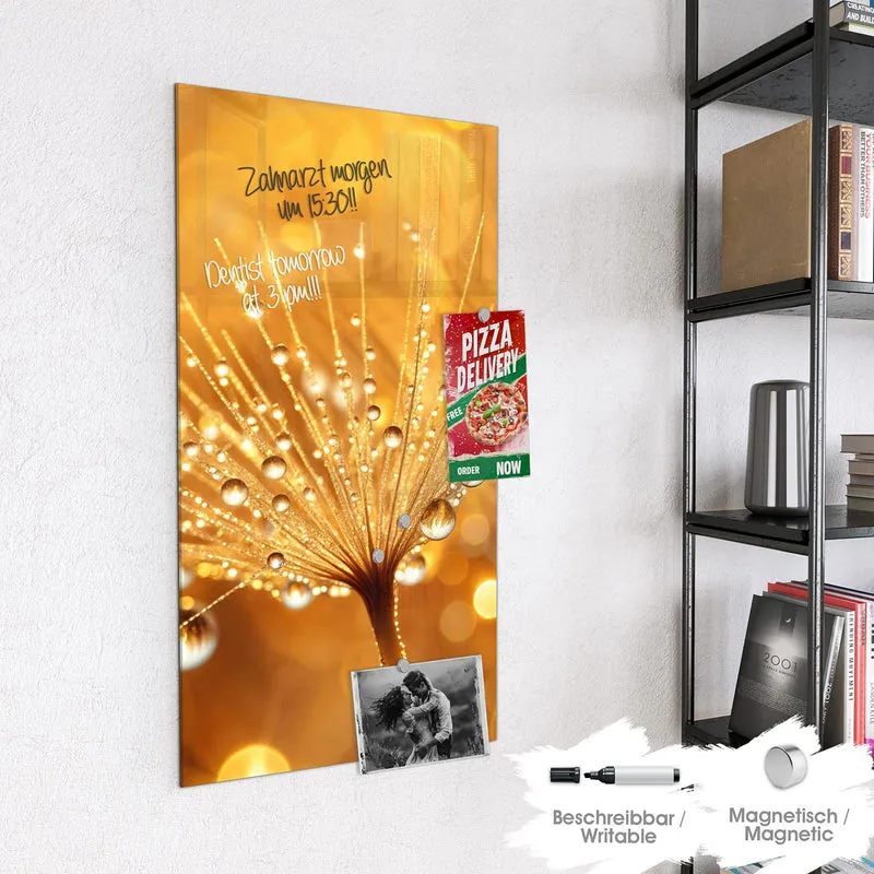 Magnettafel - Pusteblume voll Tau