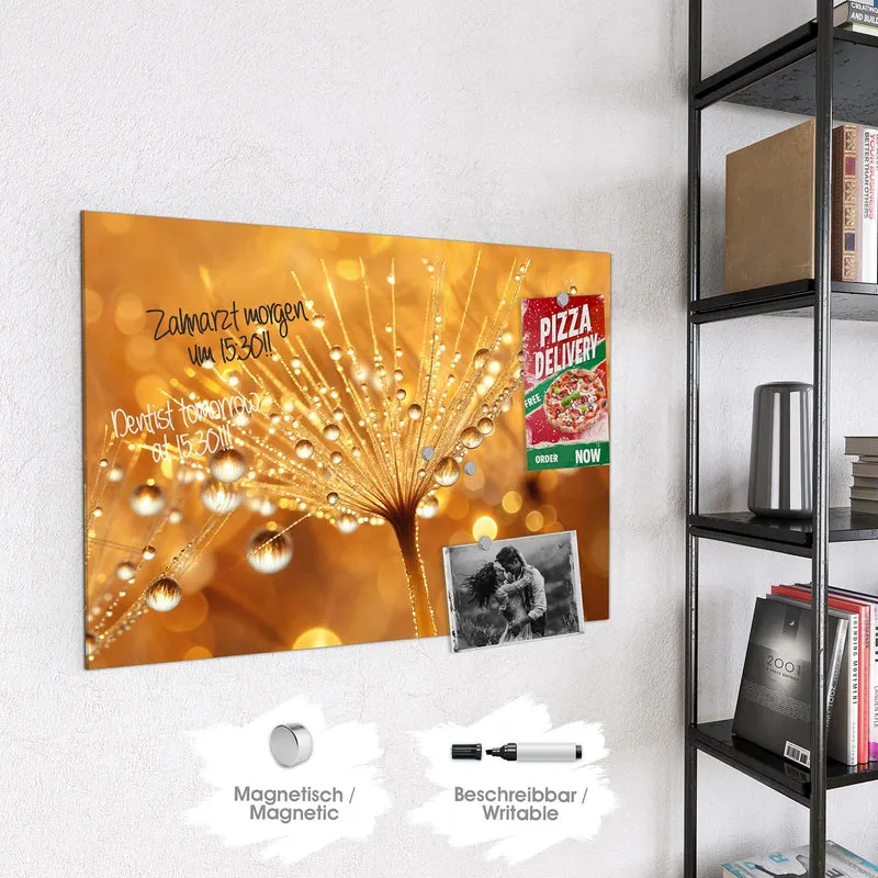 Magnettafel - Pusteblume voll Tau