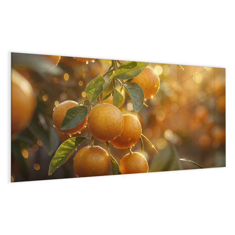 Magnettafel - Sonnengeflutete Orangen