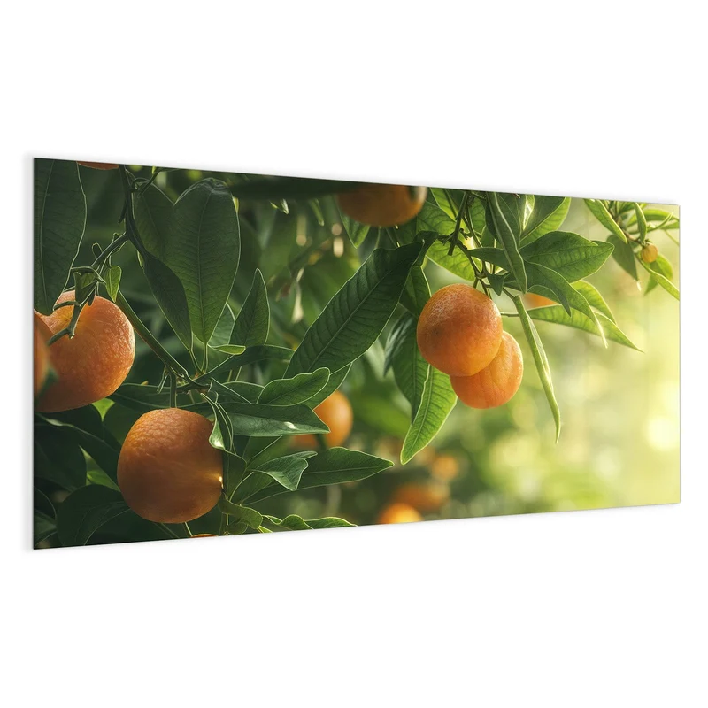 Magnettafel - Reife Orangen am Zweig