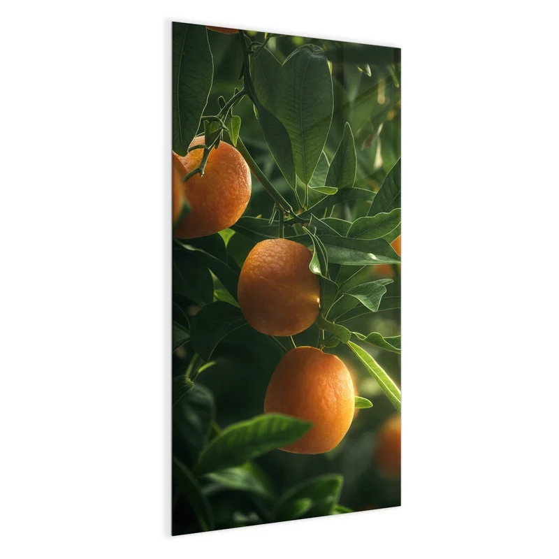 Magnettafel - Reife Orangen am Zweig