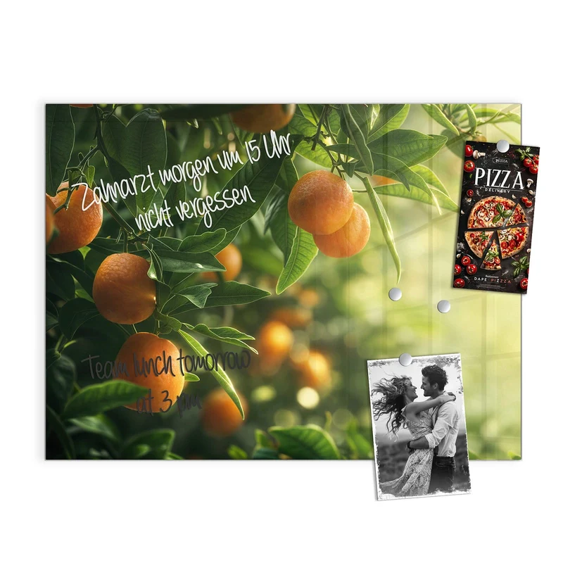 Magnettafel - Reife Orangen am Zweig