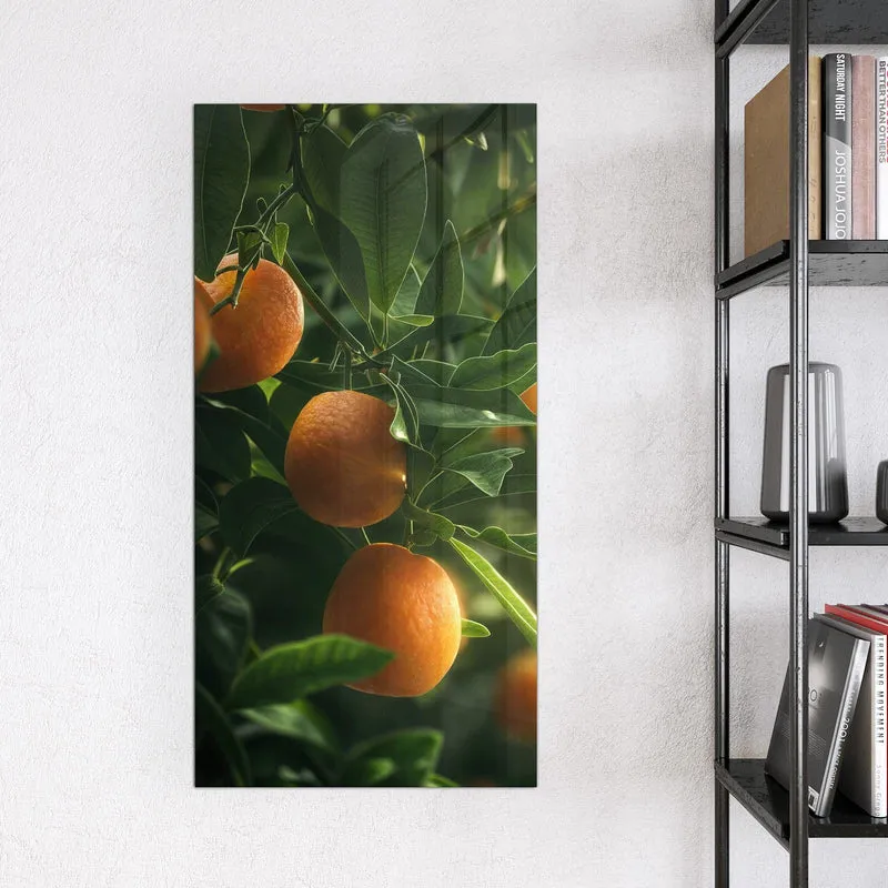 Magnettafel - Reife Orangen am Zweig
