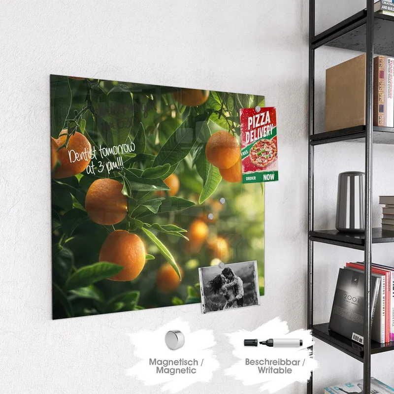 Magnettafel - Reife Orangen am Zweig