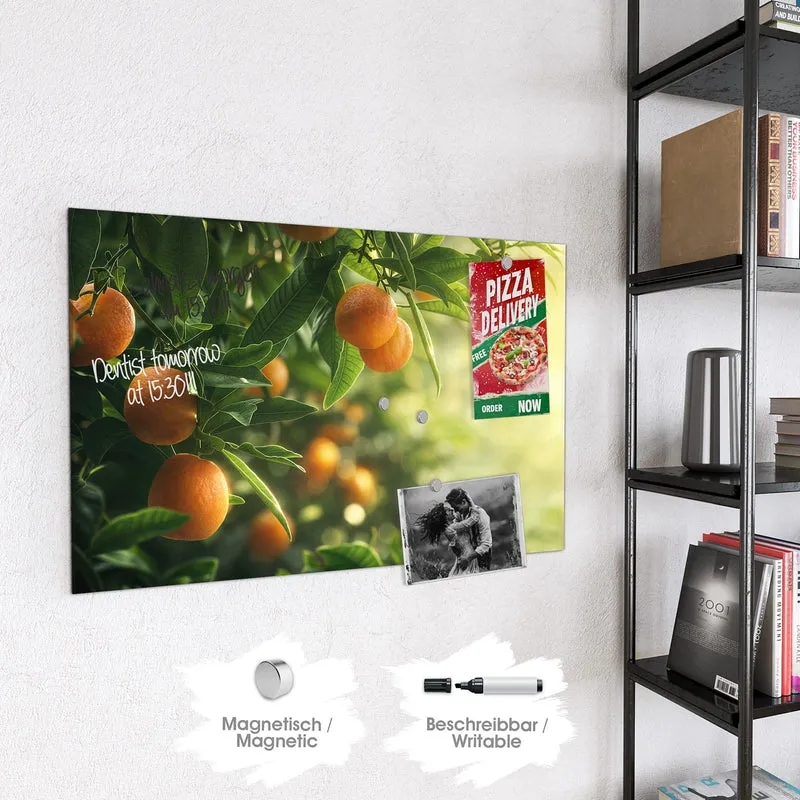 Magnettafel - Reife Orangen am Zweig