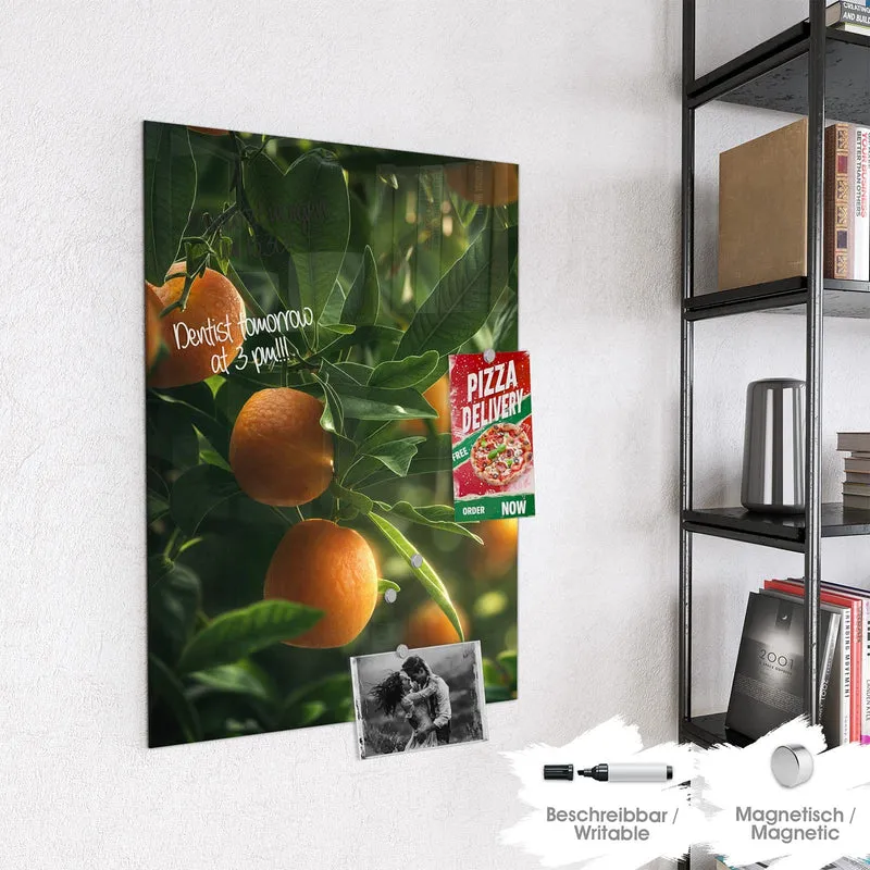 Magnettafel - Reife Orangen am Zweig