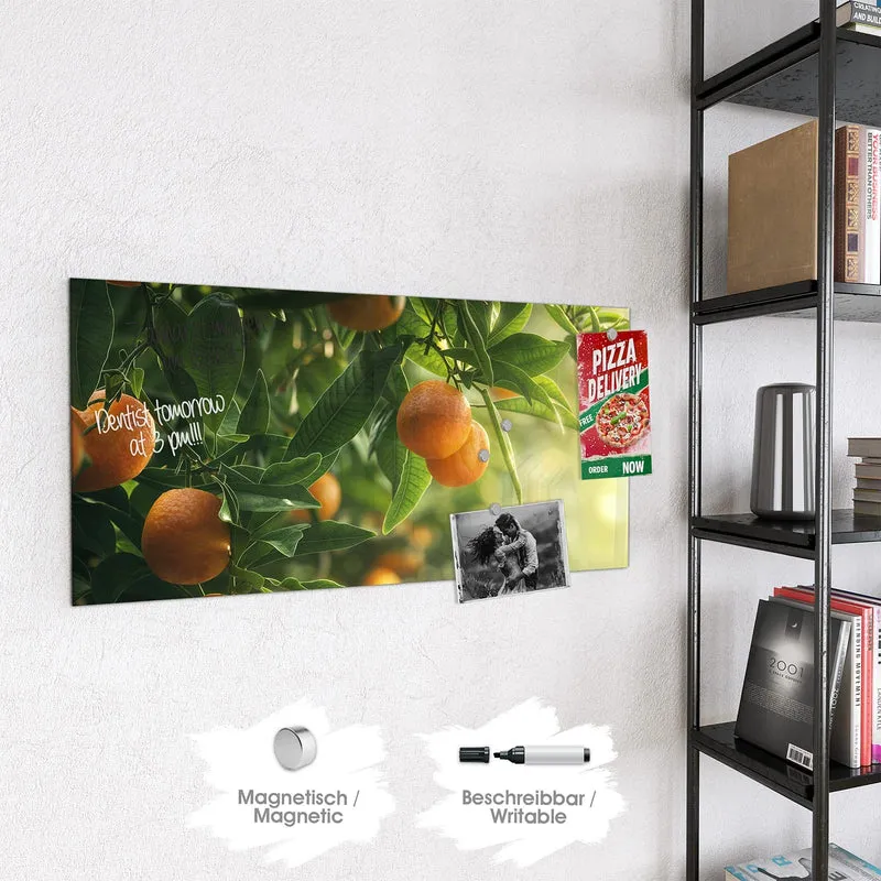 Magnettafel - Reife Orangen am Zweig
