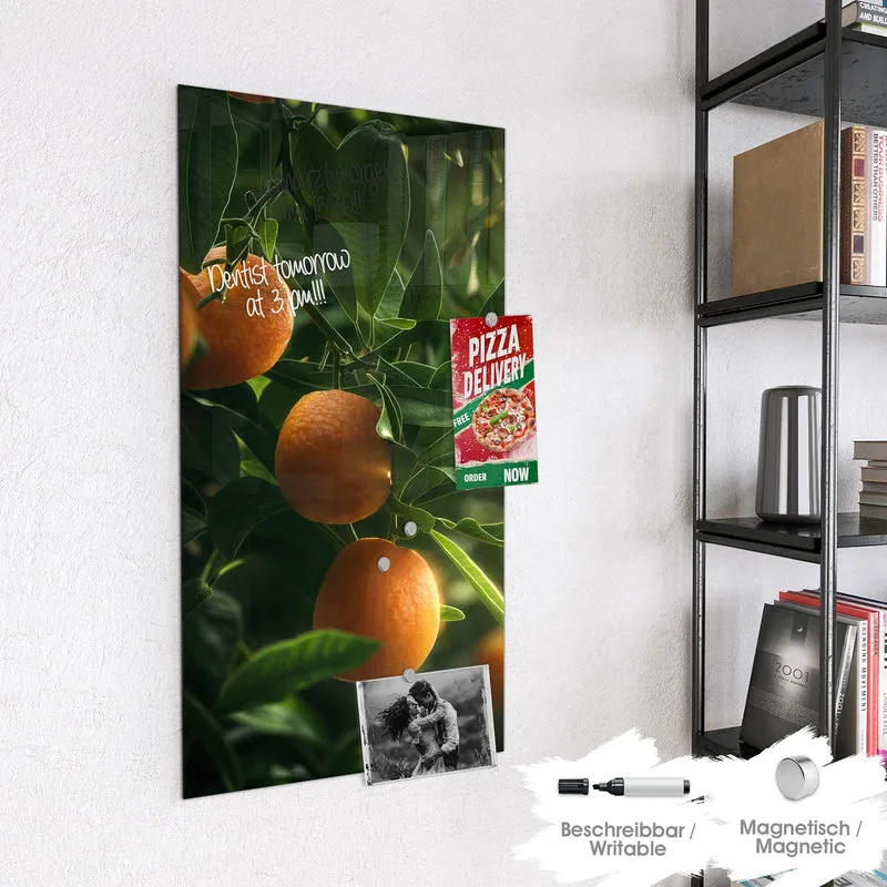 Magnettafel - Reife Orangen am Zweig