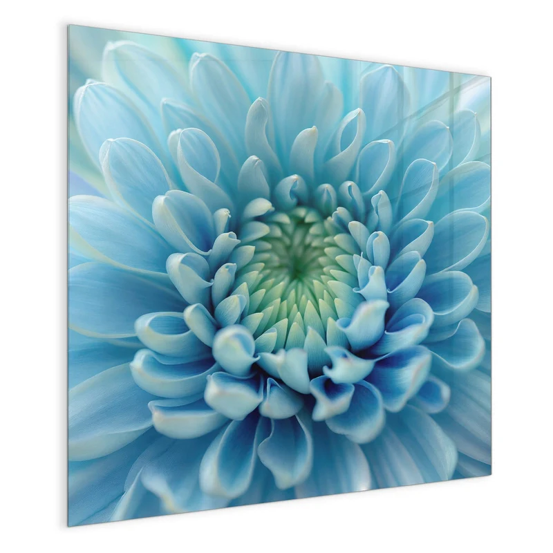 Magnettafel - Helle Chrysantheme