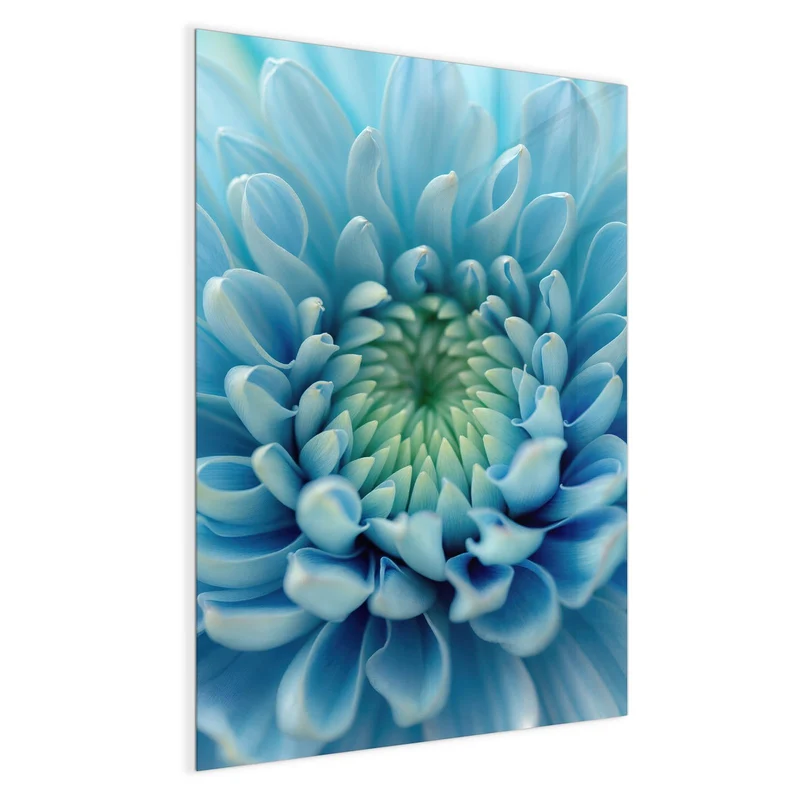 Magnettafel - Helle Chrysantheme