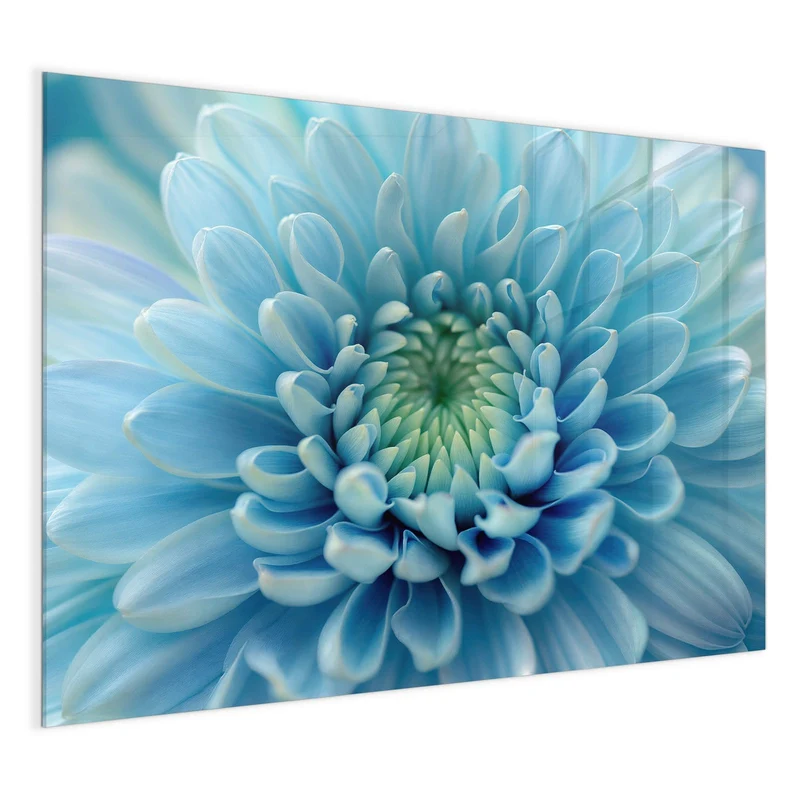 Magnettafel - Helle Chrysantheme