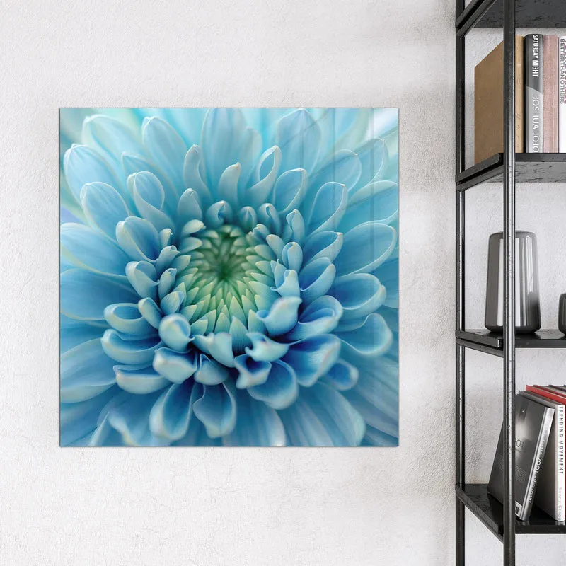 Magnettafel - Helle Chrysantheme
