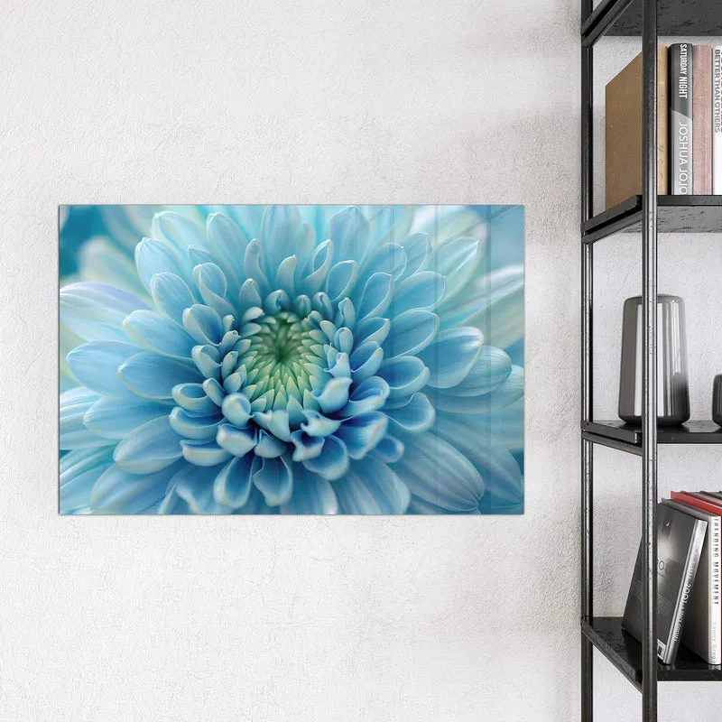 Magnettafel - Helle Chrysantheme