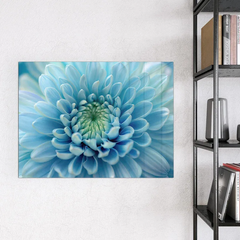 Magnettafel - Helle Chrysantheme